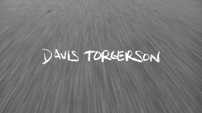 Davis Torgerson